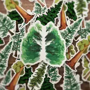 Forest Sticker Pack - 50PCS
